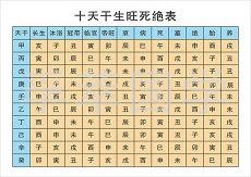 财富将至是哪些生肖生肖属龙属鼠(财富预示什么生肖)