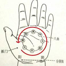 买什么运气好转运招财属虎(招好运的东西)