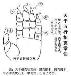 20二十四年属相为鼠属鼠太岁生肖(84年的鼠取什么店名最招财)